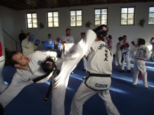dscf5591.jpg