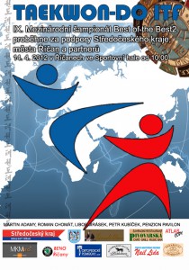 plakat--best-2012-new-copy.jpg